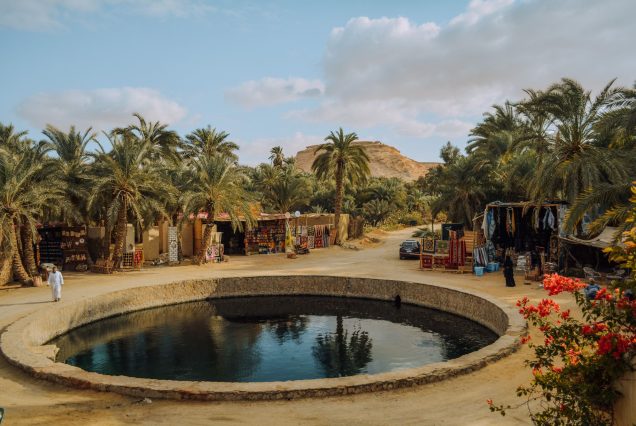 14 Days Tour Cairo, Siwa and Nile Cruise