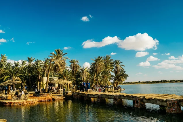 Cultural and Eco Trip of Cairo, Alexandria and Siwa Oasis